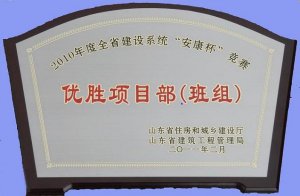 2010年度全省建设系统安康杯竞赛优胜项目部