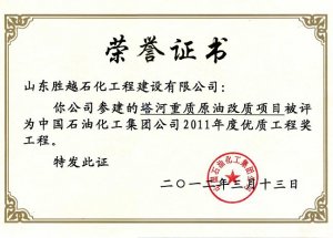 塔河重质原油改质项目