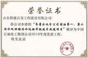 齐鲁污水处理达标升级技术改造项目