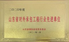 2020年山东省对外承包工程行业先进单位